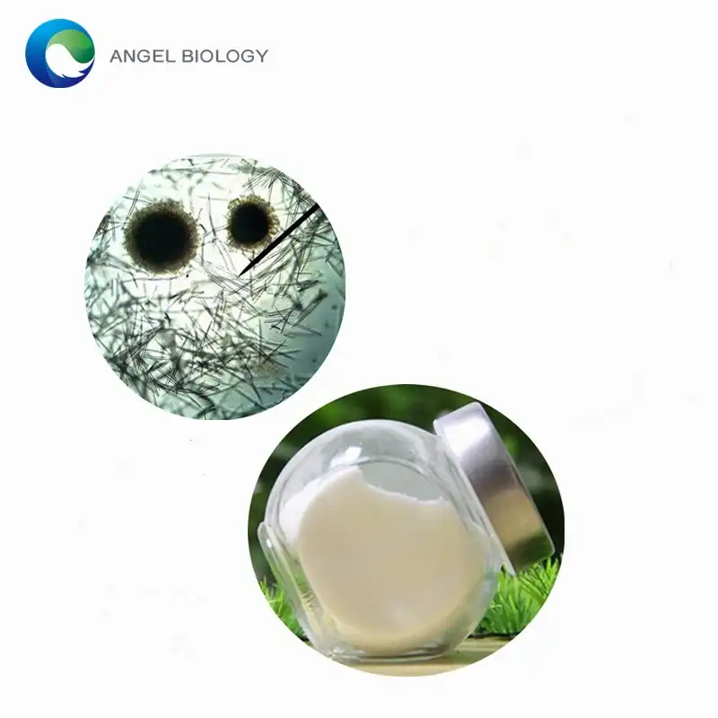 Step-by-Step Guide: How to Use Sponge Microneedles for Minimally Invasive Skin Treatment?